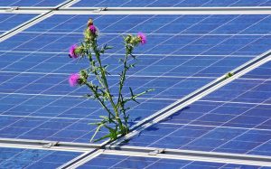 solar-renewable clean energy